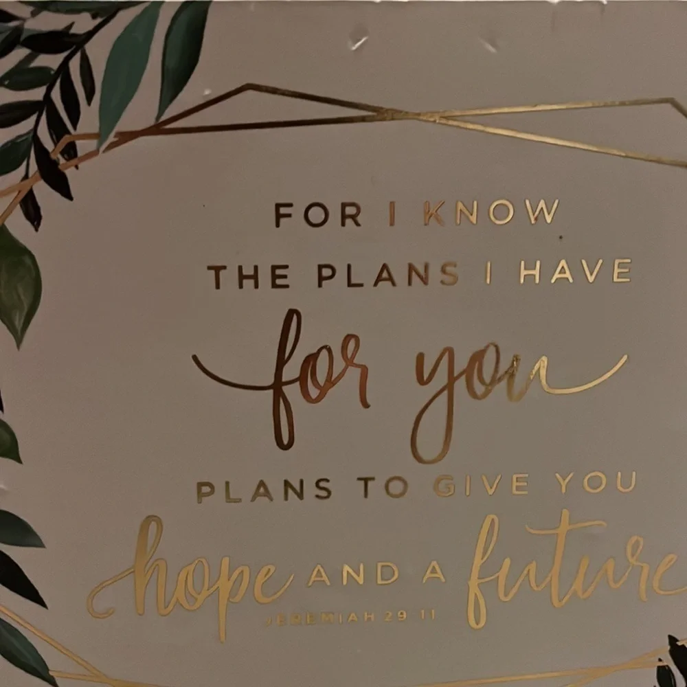 Wooden plaque, for I know the plans I have for you, plans to give you hope…